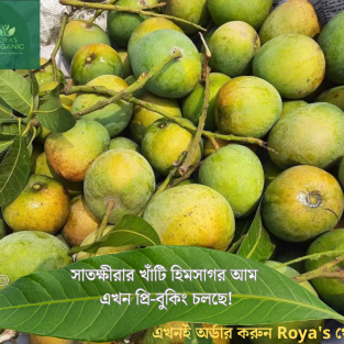 হিমসাগর (ক্ষিরসাপাত)
