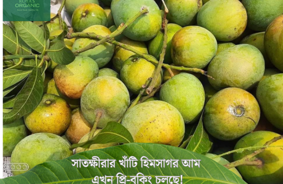 হিমসাগর (ক্ষিরসাপাত)