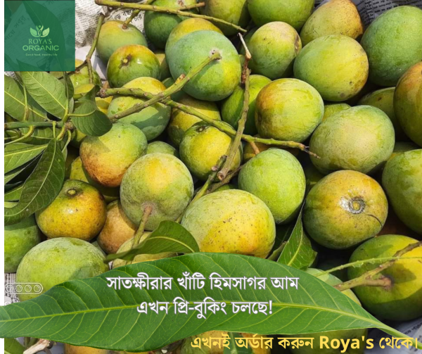 হিমসাগর (ক্ষিরসাপাত)